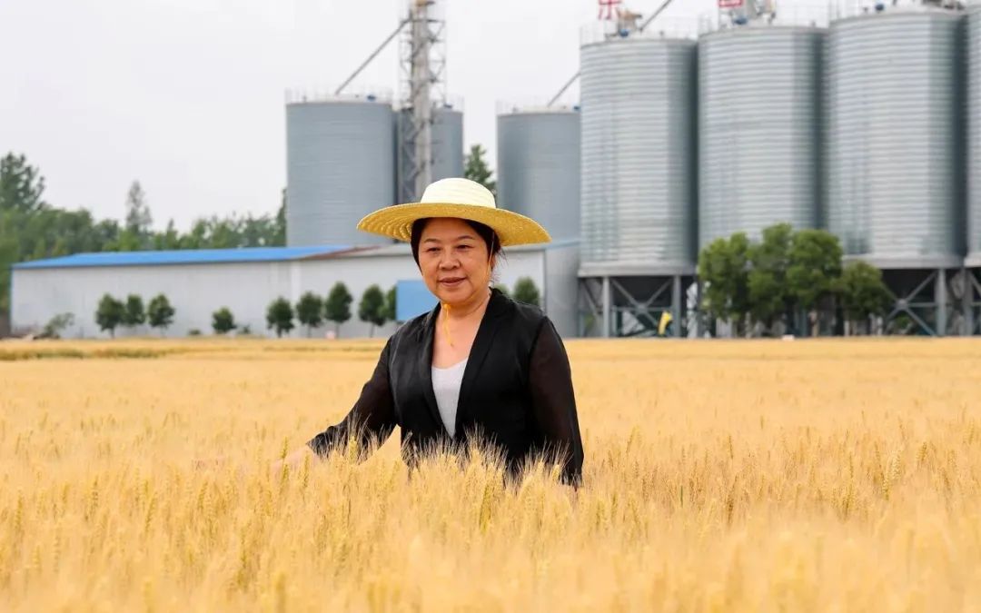 微信圖片_20250307160247.jpg 微信圖片_20250307160247.jpg